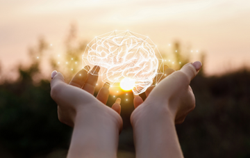 Neuroplasticity: Brain Training of the Best Kind