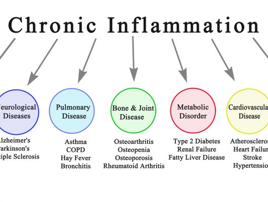 Tackling Chronic Inflammation to Rewind Your Body Clock!
