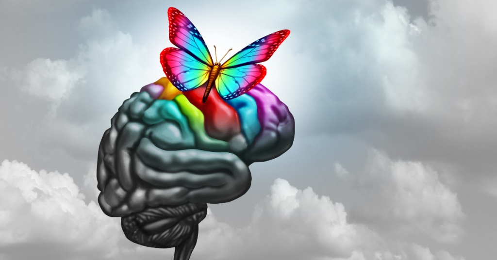 JG 24 May grow your brain