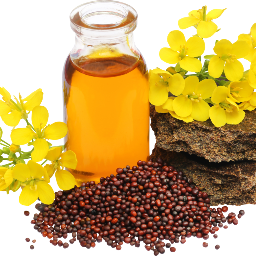 The Seed Oils Controversy: Separating Fact from Fiction