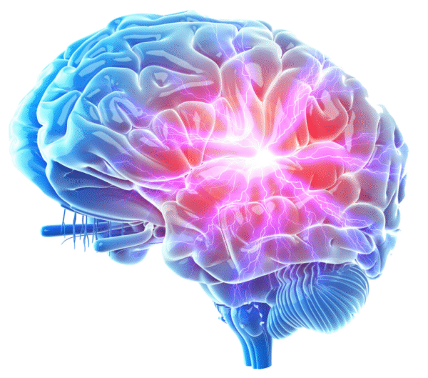 Unlock Your Brain Clock for Longevity