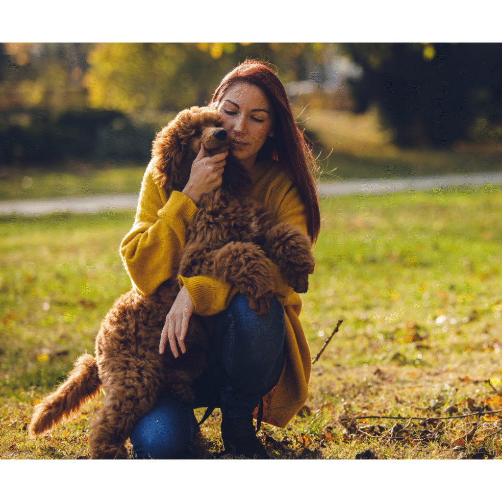 The Profound Importance of Animals in Our Lives