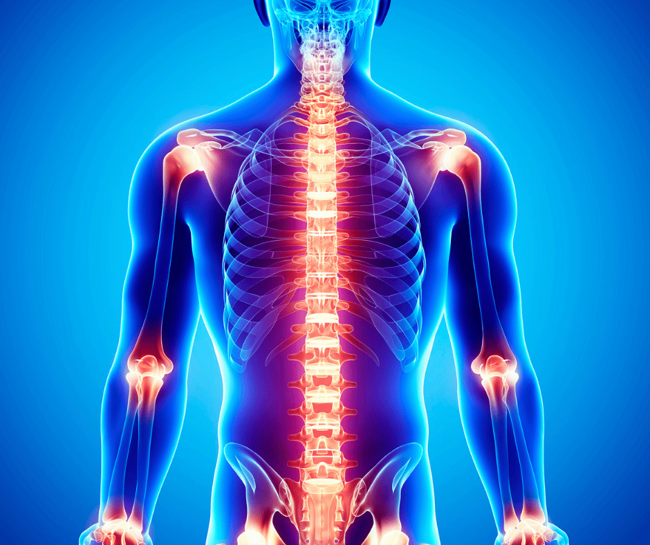 Inflammaging: The Silent Inflammation That Speeds Up Ageing