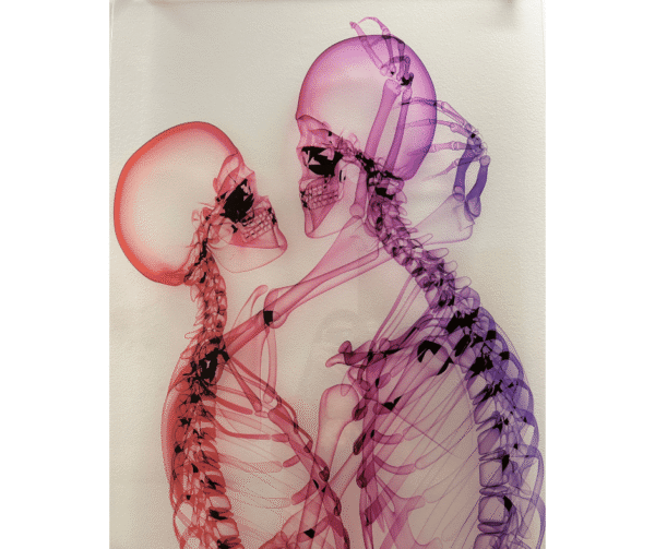 Bone as an endocrine organ
